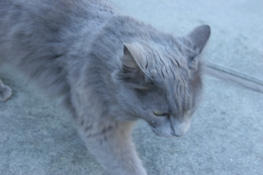 www_img_2624