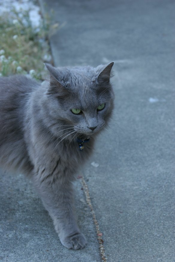 www_img_2635
